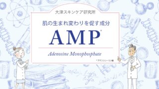 肌の生まれ変わりを促す成分「AMP」とは？｜大津スキンケア研究所〜大塚製薬