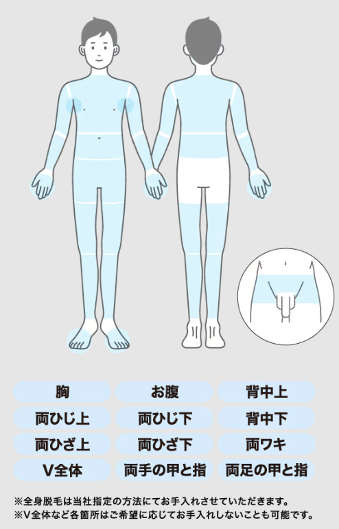 メンズミュゼの100円脱毛コースで体験できる全身脱毛の箇所
