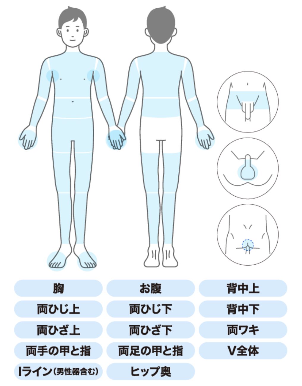 メンズミュゼの100円脱毛コースで体験できる全身脱毛の箇所