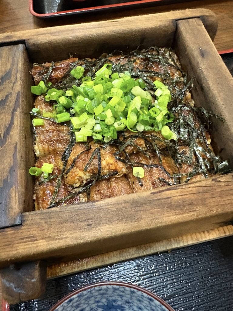 プレミアムカロリミット体験の9日目に食べた名古屋メシの画像。