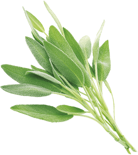 セージエキスの画像
