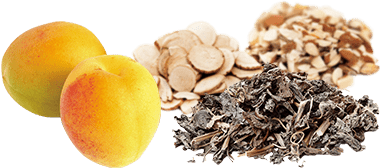 ウメ果実エキス・漢植物エキスの
画像